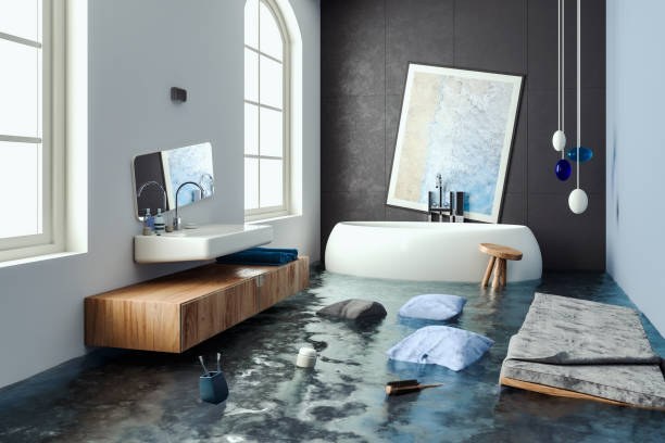 Best Carpet water damage restoration  in Des Plaines, IL