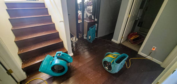 Water damage restoration mold remediation in Des Plaines, IL