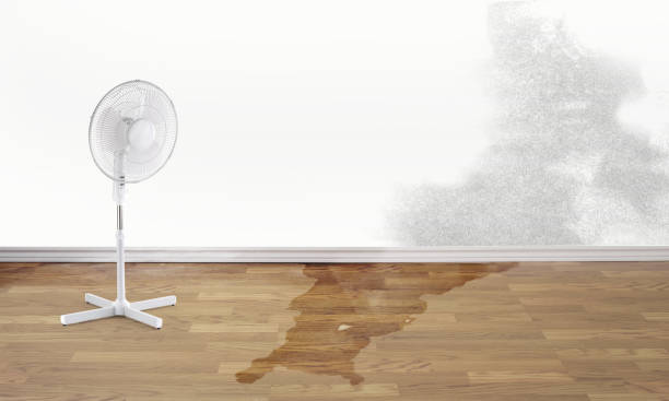 Best Flooded house restoration  in Des Plaines, IL