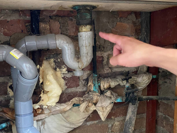 Best Emergency water damage restoration  in Des Plaines, IL