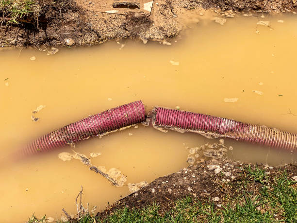 Best Emergency water damage restoration  in Des Plaines, IL