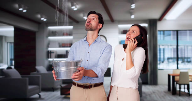 Best Water damage cleanup near me  in Des Plaines, IL